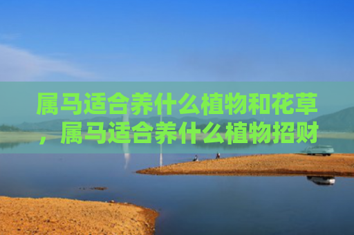 属马适合养什么植物和花草，属马适合养什么植物招财