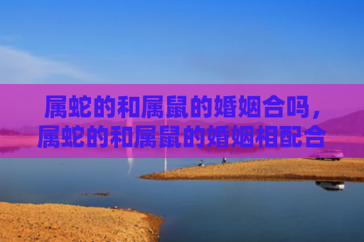 属蛇的和属鼠的婚姻合吗，属蛇的和属鼠的婚姻相配合适吗