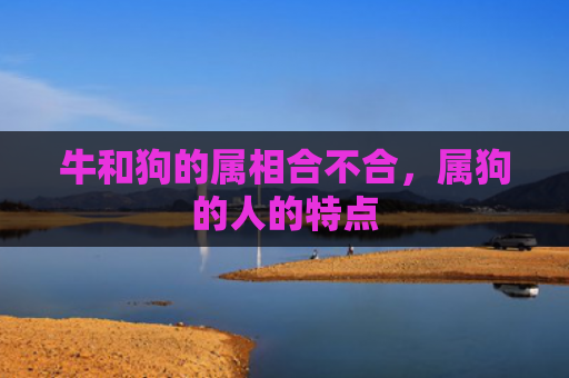 牛和狗的属相合不合，属狗的人的特点