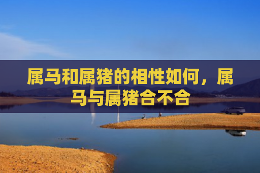 属马和属猪的相性如何，属马与属猪合不合