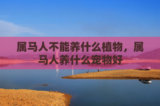 属马人不能养什么植物，属马人养什么宠物好