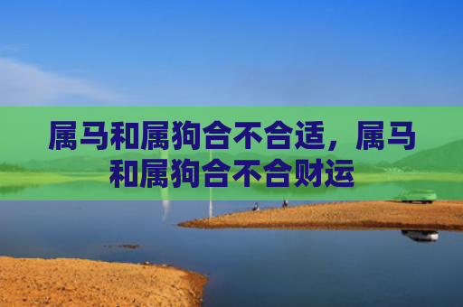 属马和属狗合不合适，属马和属狗合不合财运