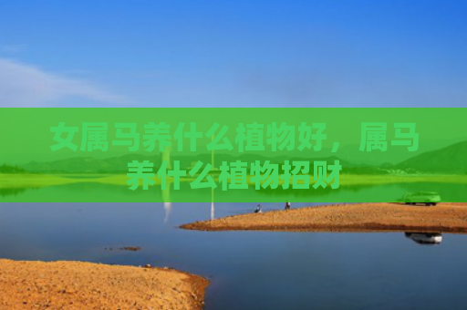 女属马养什么植物好，属马养什么植物招财