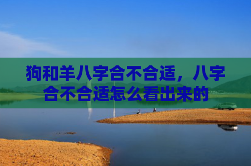 狗和羊八字合不合适，八字合不合适怎么看出来的