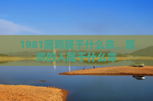 1981属鸡属于什么命，属鸡的人属于什么命