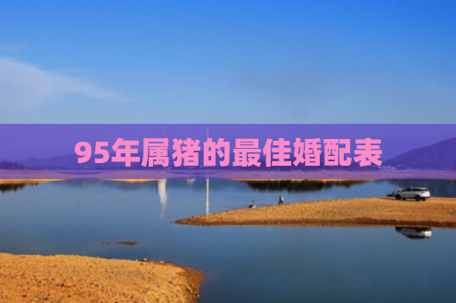 95年属猪的最佳婚配表