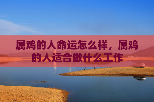 属鸡的人命运怎么样，属鸡的人适合做什么工作