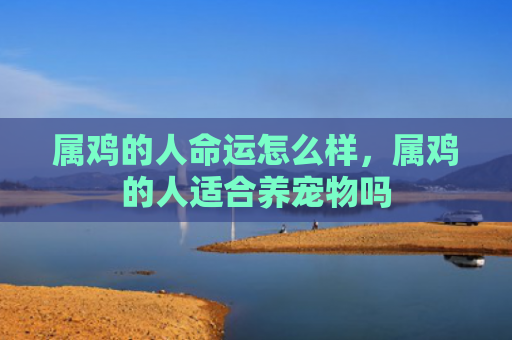 属鸡的人命运怎么样，属鸡的人适合养宠物吗
