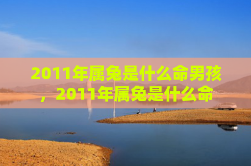 2011年属兔是什么命男孩，2011年属兔是什么命