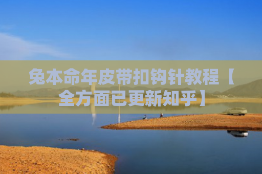 兔本命年皮带扣钩针教程【全方面已更新知乎】