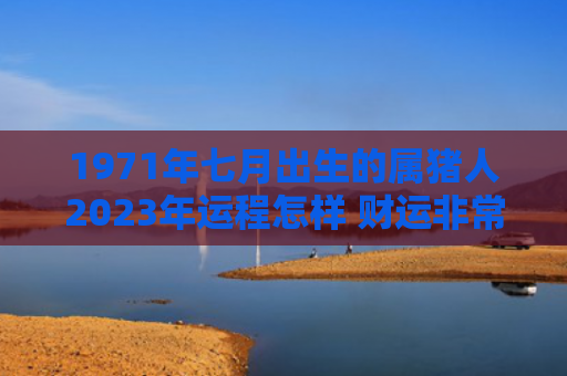 1971年七月出生的属猪人2023年运程怎样 财运非常稳定【今日更新2023】