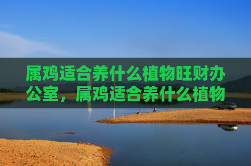 属鸡适合养什么植物旺财办公室，属鸡适合养什么植物旺事业