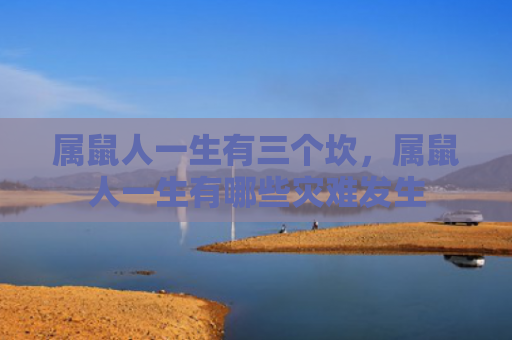 属鼠人一生有三个坎，属鼠人一生有哪些灾难发生