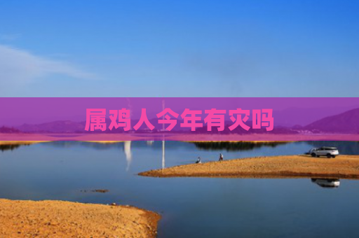 属鸡人今年有灾吗