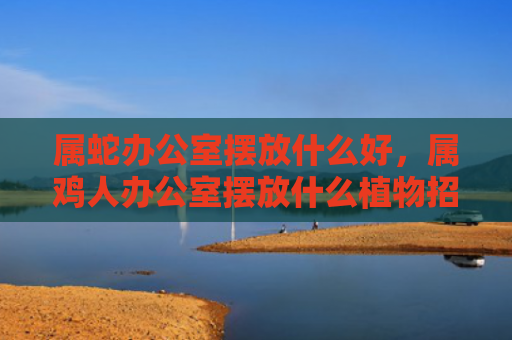 属蛇办公室摆放什么好，属鸡人办公室摆放什么植物招财