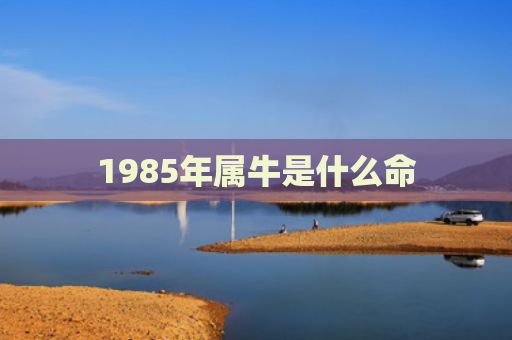 1985年属牛是什么命