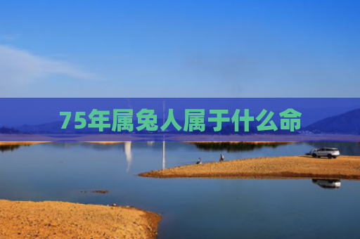 75年属兔人属于什么命