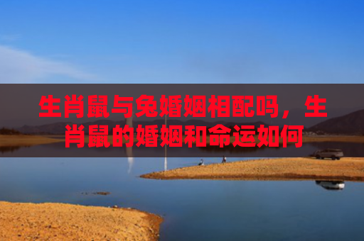 生肖鼠与兔婚姻相配吗，生肖鼠的婚姻和命运如何