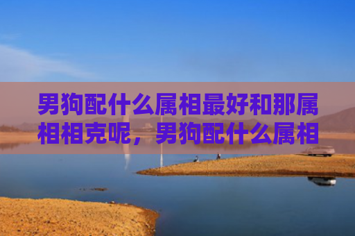 男狗配什么属相最好和那属相相克呢，男狗配什么属相最好