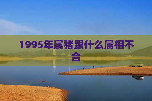 1995年属猪跟什么属相不合