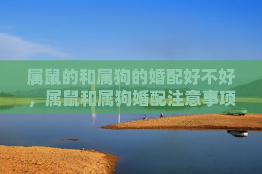 属鼠的和属狗的婚配好不好，属鼠和属狗婚配注意事项