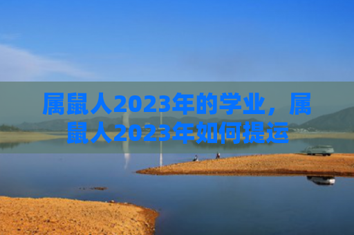 属鼠人2023年的学业，属鼠人2023年如何提运