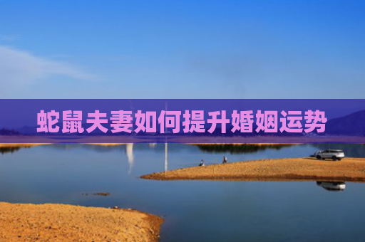 蛇鼠夫妻如何提升婚姻运势