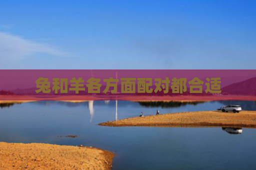 兔和羊各方面配对都合适