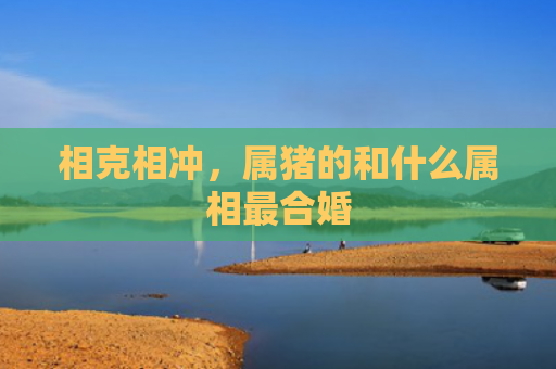 相克相冲，属猪的和什么属相最合婚