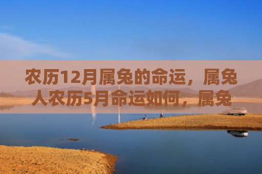 农历12月属兔的命运，属兔人农历5月命运如何，属兔人在农历5月的运势