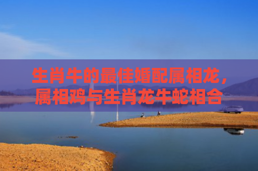 生肖牛的最佳婚配属相龙，属相鸡与生肖龙牛蛇相合