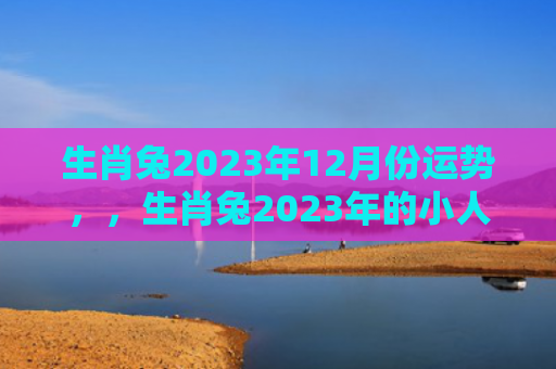 生肖兔2023年12月份运势，，生肖兔2023年的小人是谁