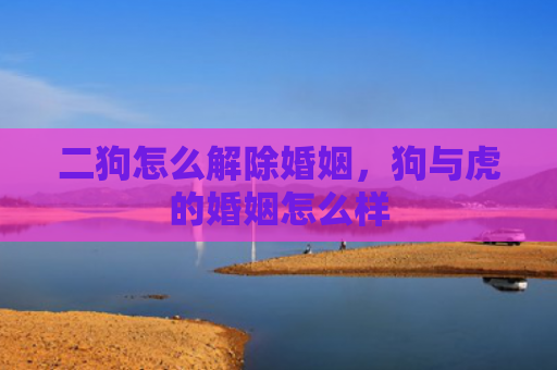二狗怎么解除婚姻，狗与虎的婚姻怎么样