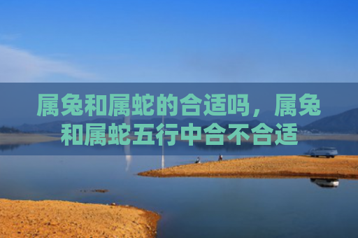 属兔和属蛇的合适吗，属兔和属蛇五行中合不合适