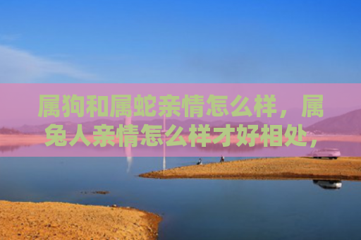 属狗和属蛇亲情怎么样，属兔人亲情怎么样才好相处，如何与属兔人建立良好的亲情关系