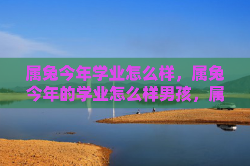 属兔今年学业怎么样，属兔今年的学业怎么样男孩，属兔男孩今年表现如何
