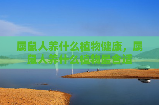 属鼠人养什么植物健康，属鼠人养什么植物最合适