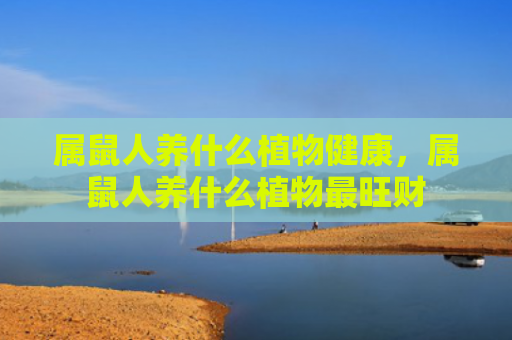 属鼠人养什么植物健康，属鼠人养什么植物最旺财