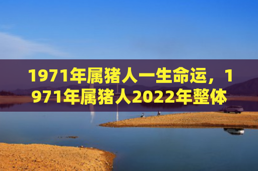 1971年属猪人一生命运，1971年属猪人2022年整体运势怎么样
