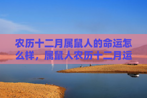 农历十二月属鼠人的命运怎么样，属鼠人农历十二月运势