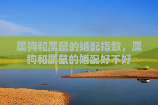 属狗和属鼠的婚配指数，属狗和属鼠的婚配好不好