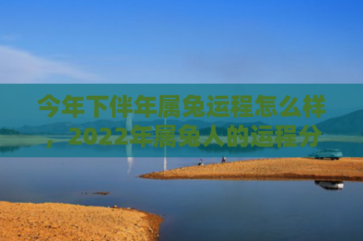 今年下伴年属兔运程怎么样，2022年属兔人的运程分析