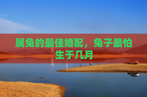 属兔的最佳婚配，兔子最怕生于几月