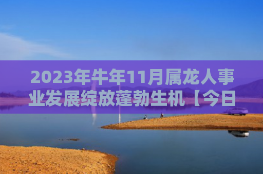 2023年牛年11月属龙人事业发展绽放蓬勃生机【今日已更新】