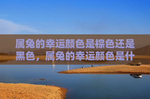 属兔的幸运颜色是棕色还是黑色，属兔的幸运颜色是什么色彩