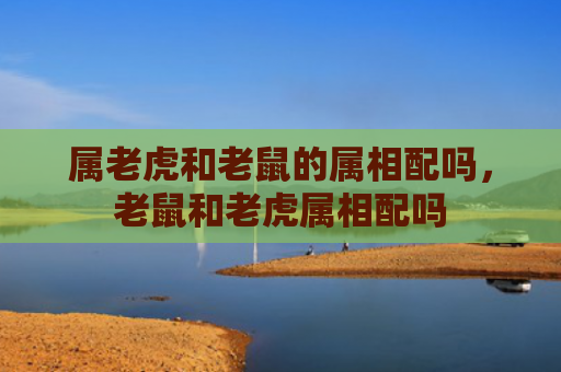 属老虎和老鼠的属相配吗，老鼠和老虎属相配吗