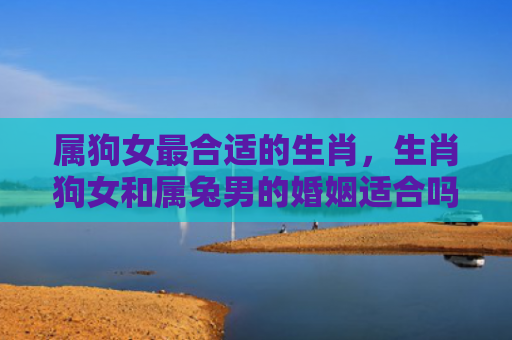 属狗女最合适的生肖，生肖狗女和属兔男的婚姻适合吗，生肖狗女和属兔男的婚姻能否长久