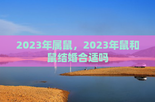 2023年属鼠，2023年鼠和鼠结婚合适吗
