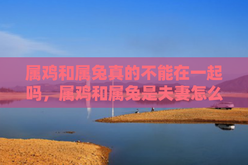 属鸡和属兔真的不能在一起吗，属鸡和属兔是夫妻怎么样，属鸡和属兔的婚姻观测