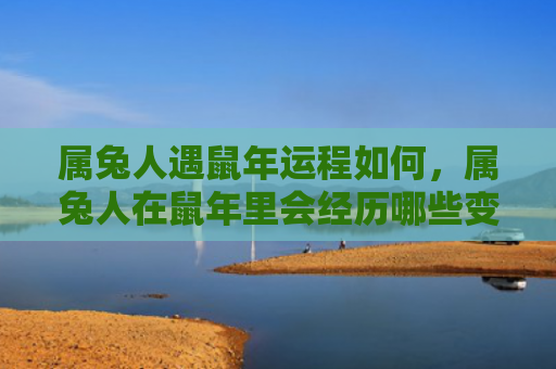 属兔人遇鼠年运程如何，属兔人在鼠年里会经历哪些变化